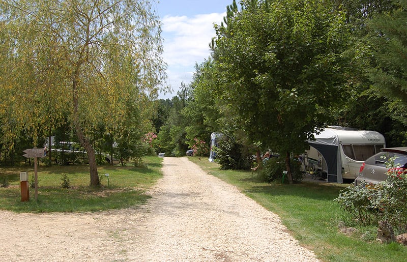 Shady campsite